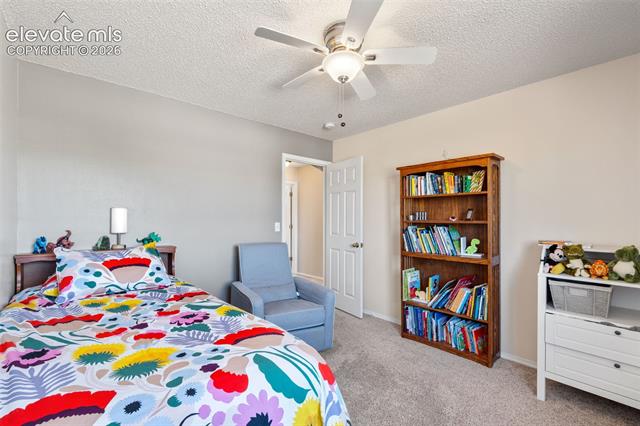 MLS Image for 8006  Cooper River  ,Colorado Springs, Colorado