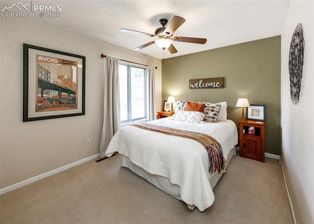 MLS Image for 735  Big Valley  ,Colorado Springs, Colorado