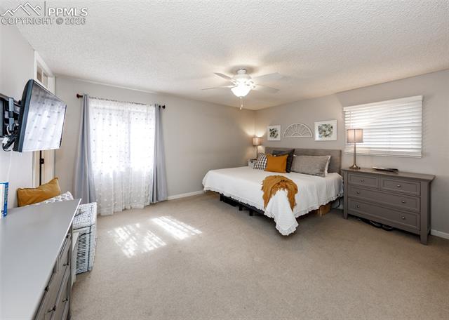 MLS Image for 735  Big Valley  ,Colorado Springs, Colorado