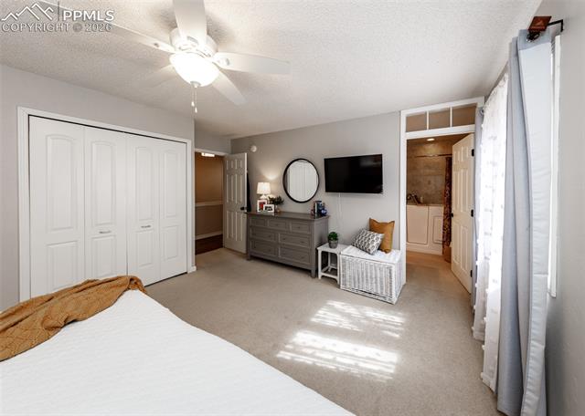MLS Image for 735  Big Valley  ,Colorado Springs, Colorado
