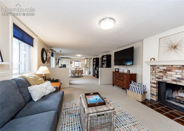 MLS Image for 735  Big Valley  ,Colorado Springs, Colorado