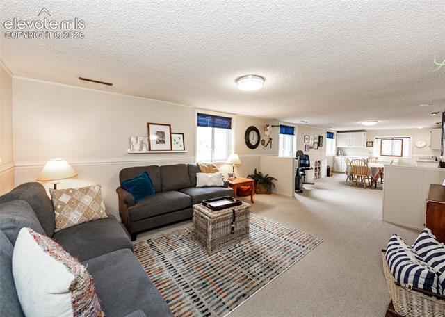 MLS Image for 735  Big Valley  ,Colorado Springs, Colorado