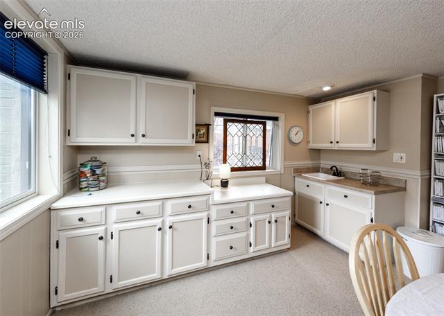 MLS Image for 735  Big Valley  ,Colorado Springs, Colorado
