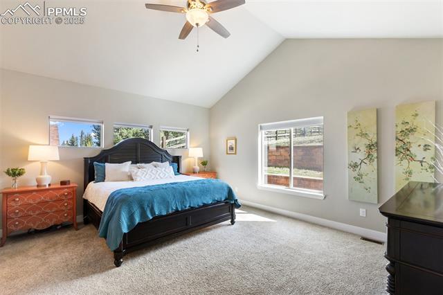 MLS Image for 1145  Ptarmigan  ,Woodland Park, Colorado