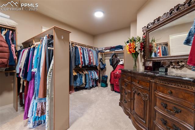 MLS Image for 2351  Limerick  ,Colorado Springs, Colorado