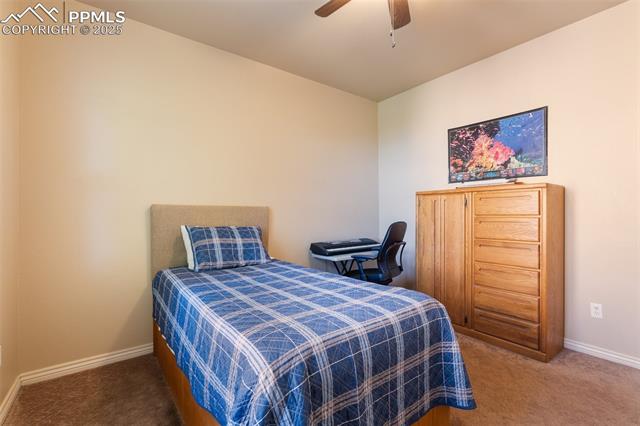 MLS Image for 2351  Limerick  ,Colorado Springs, Colorado