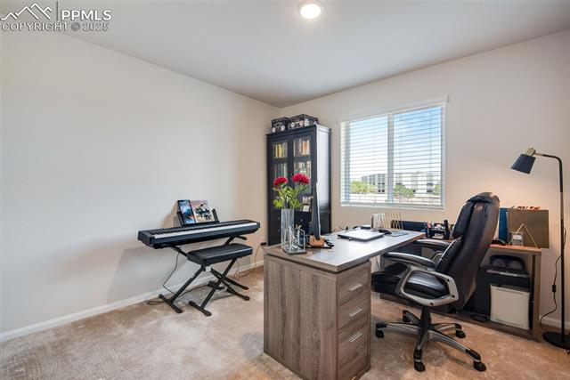 MLS Image for 16470  Mountain Flax  ,Monument, Colorado