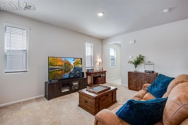 MLS Image for 16470  Mountain Flax  ,Monument, Colorado