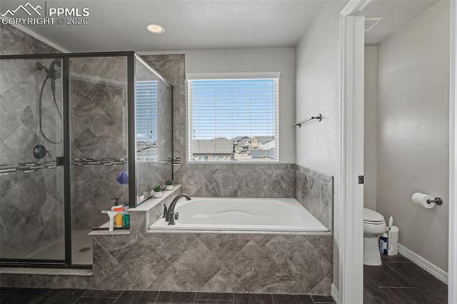 MLS Image for 12686  Culebra Peak  ,Peyton, Colorado