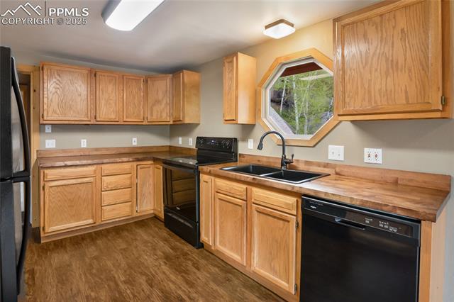 MLS Image for 481  Arrowhead  ,Florissant, Colorado
