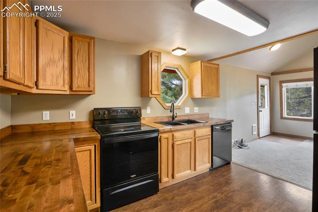 MLS Image for 481  Arrowhead  ,Florissant, Colorado