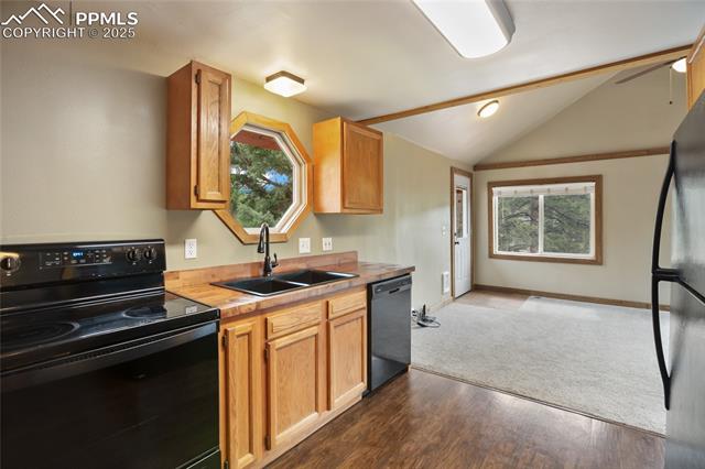 MLS Image for 481  Arrowhead  ,Florissant, Colorado
