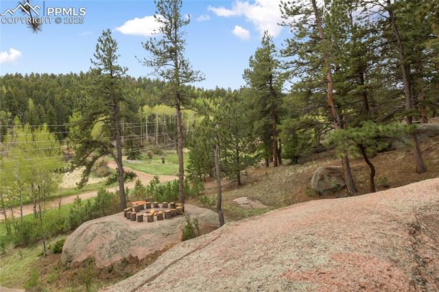 MLS Image for 481  Arrowhead  ,Florissant, Colorado