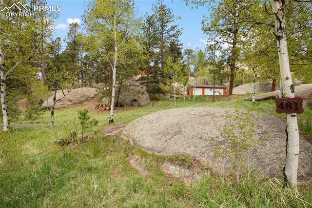 MLS Image for 481  Arrowhead  ,Florissant, Colorado