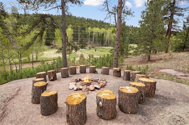 MLS Image for 481  Arrowhead  ,Florissant, Colorado