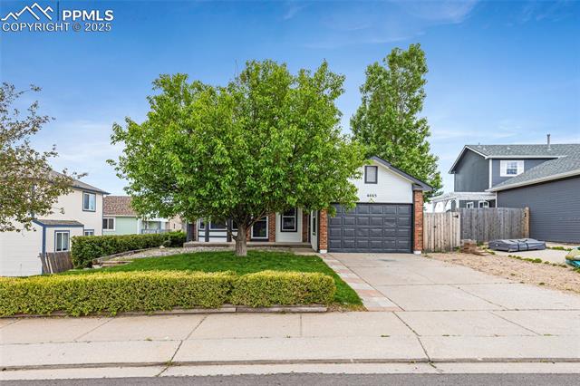 4465  Archwood  , colorado springs  House Search MLS Picture