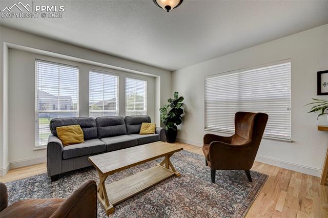 MLS Image for 10368  Mount Evans  ,Peyton, Colorado