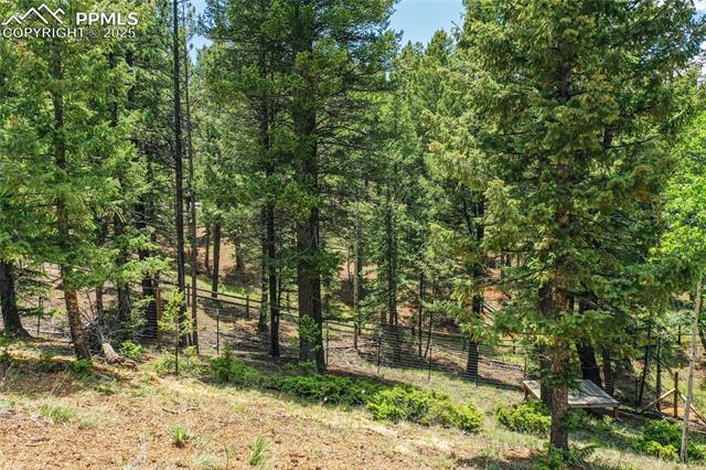 MLS Image for 2885  Sunnywood  ,Woodland Park, Colorado