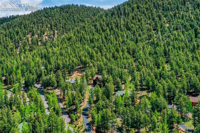 MLS Image for 1321  Forest Edge  ,Woodland Park, Colorado