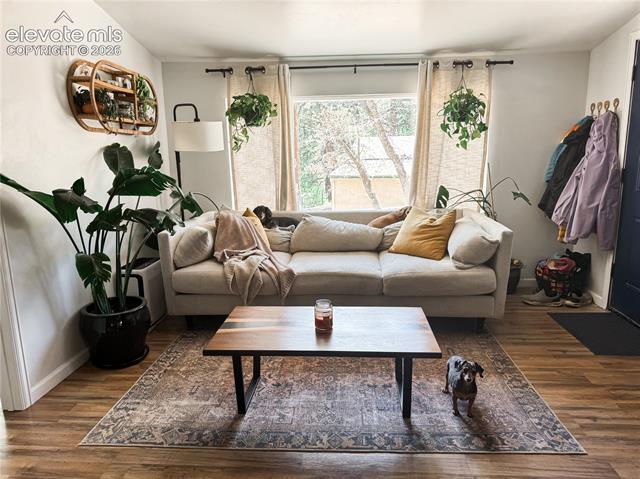 MLS Image for 2018  Oak  ,Colorado Springs, Colorado