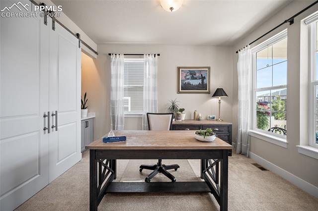 MLS Image for 15665  Native Willow  ,Monument, Colorado