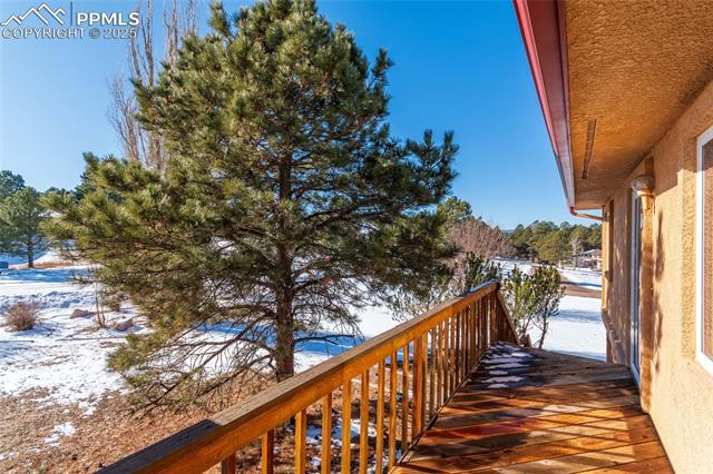 MLS Image for 17825  Grama Ridge  ,Colorado Springs, Colorado