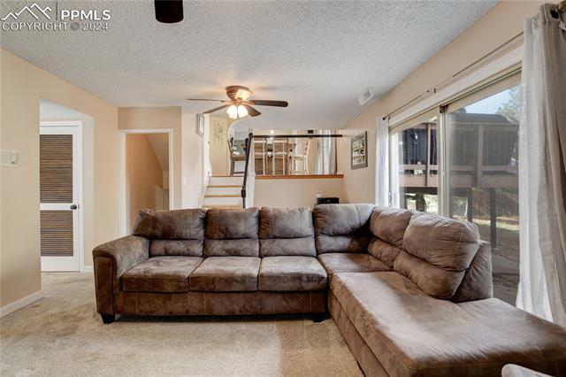 MLS Image for 4905  Garden  ,Colorado Springs, Colorado