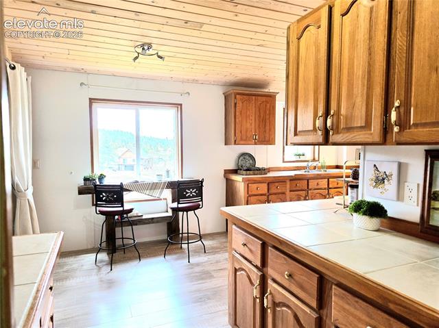 MLS Image for 891 S Mountain Estates  ,Florissant, Colorado