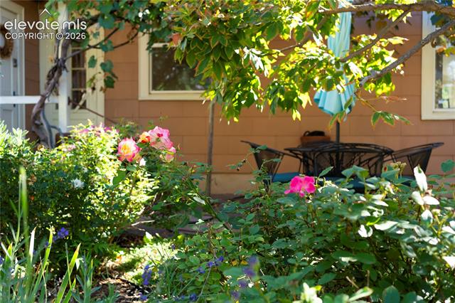 MLS Image for 726 N Weber  ,Colorado Springs, Colorado
