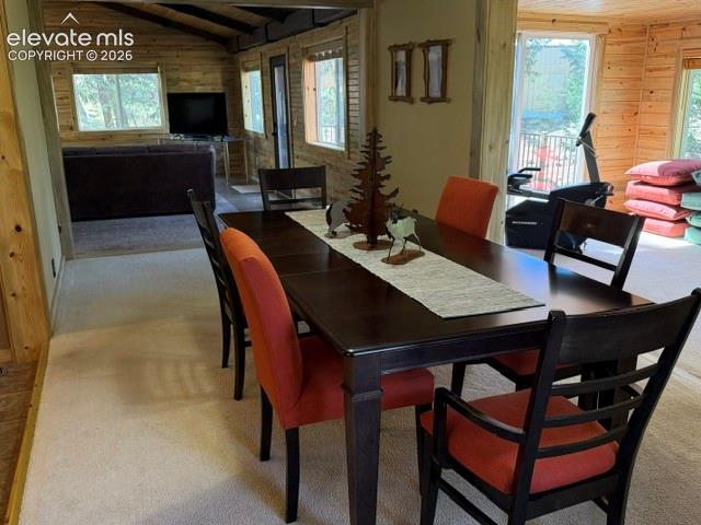 MLS Image for 269  Southpark  ,Florissant, Colorado