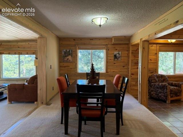 MLS Image for 269  Southpark  ,Florissant, Colorado