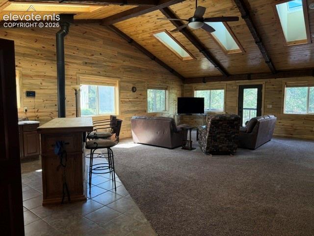 MLS Image for 269  Southpark  ,Florissant, Colorado