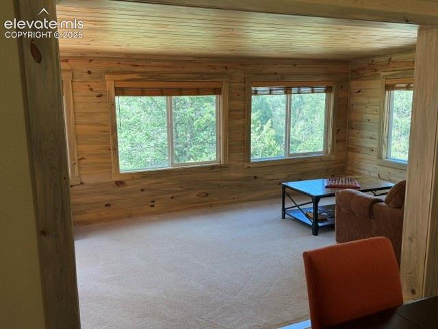MLS Image for 269  Southpark  ,Florissant, Colorado