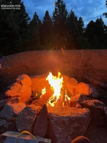 MLS Image for 269  Southpark  ,Florissant, Colorado