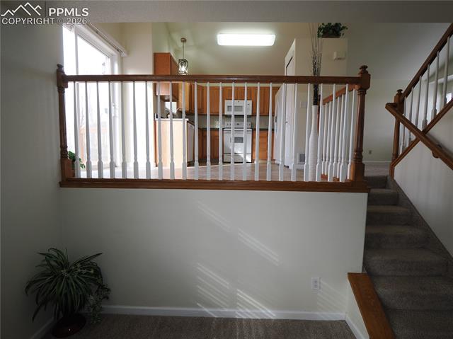 MLS Image for 7338  Theresa  ,Colorado Springs, Colorado