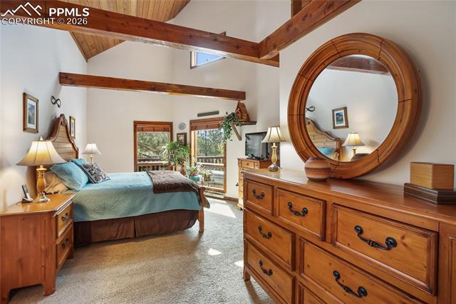 MLS Image for 381  Saddleback Creek  ,Florissant, Colorado