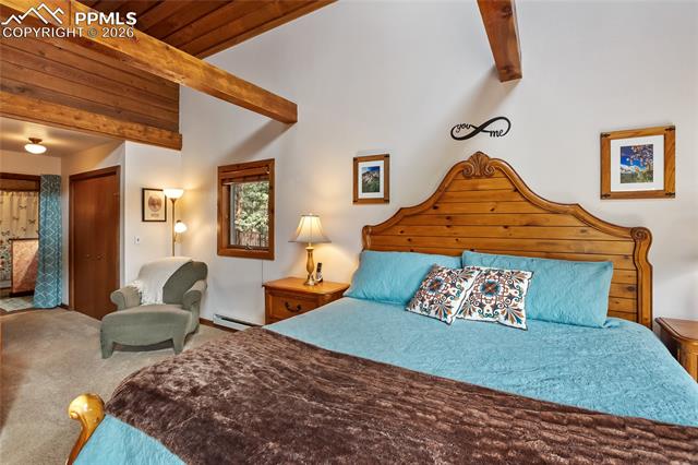 MLS Image for 381  Saddleback Creek  ,Florissant, Colorado