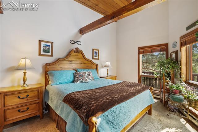 MLS Image for 381  Saddleback Creek  ,Florissant, Colorado