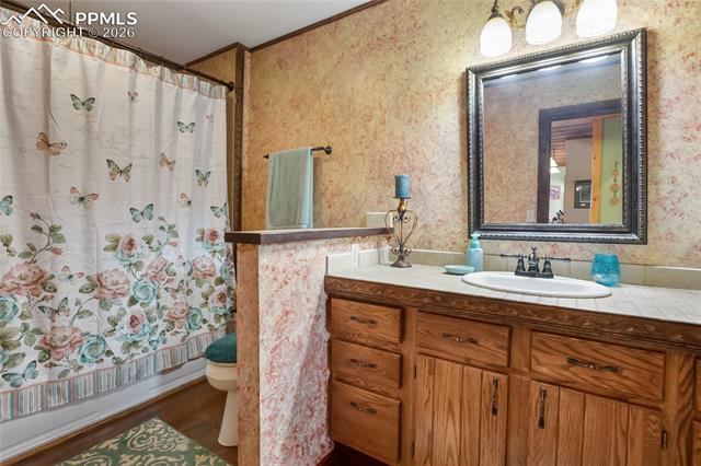 MLS Image for 381  Saddleback Creek  ,Florissant, Colorado