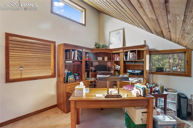 MLS Image for 381  Saddleback Creek  ,Florissant, Colorado