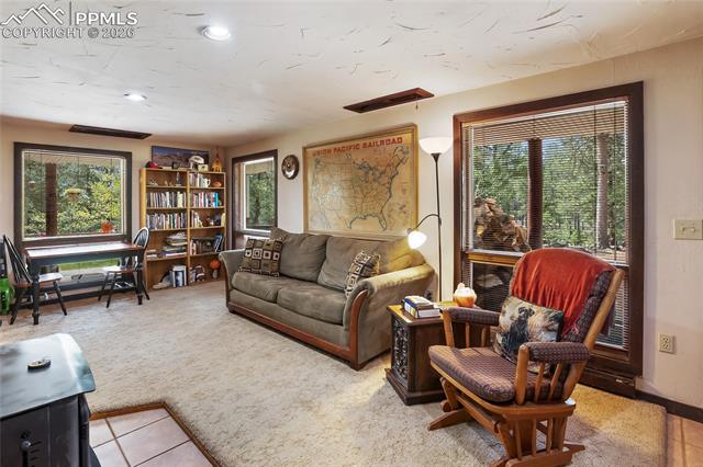 MLS Image for 381  Saddleback Creek  ,Florissant, Colorado