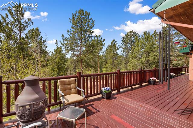 MLS Image for 381  Saddleback Creek  ,Florissant, Colorado