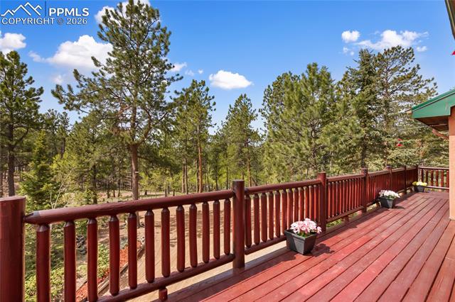 MLS Image for 381  Saddleback Creek  ,Florissant, Colorado