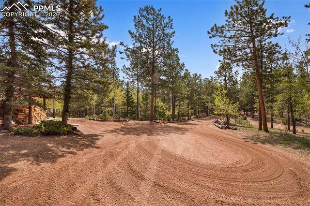 MLS Image for 381  Saddleback Creek  ,Florissant, Colorado