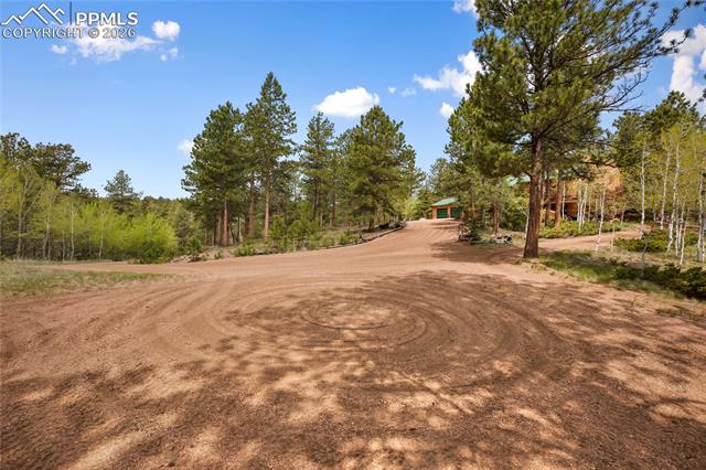 MLS Image for 381  Saddleback Creek  ,Florissant, Colorado