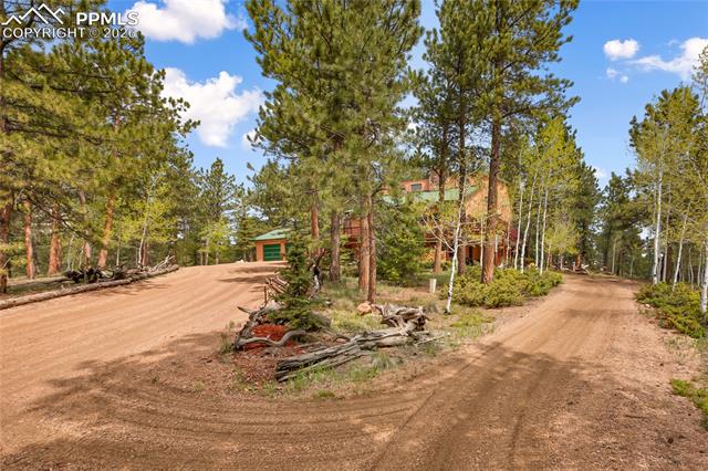 MLS Image for 381  Saddleback Creek  ,Florissant, Colorado