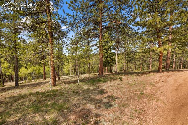 MLS Image for 381  Saddleback Creek  ,Florissant, Colorado
