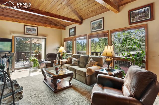 MLS Image for 381  Saddleback Creek  ,Florissant, Colorado
