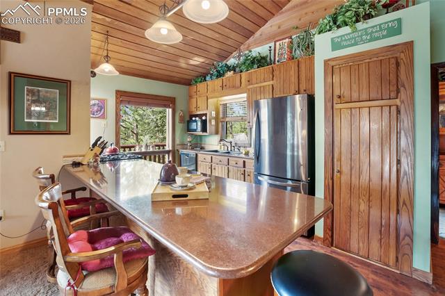 MLS Image for 381  Saddleback Creek  ,Florissant, Colorado