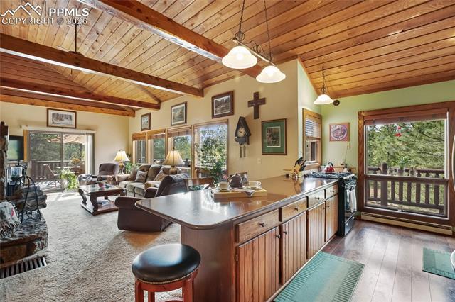 MLS Image for 381  Saddleback Creek  ,Florissant, Colorado